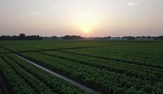 社区交流产品应对信息过载的策略分析